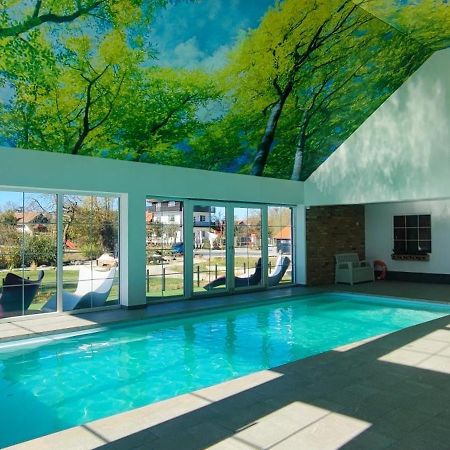 Pensiunea Casa Moga Bucium  エクステリア 写真