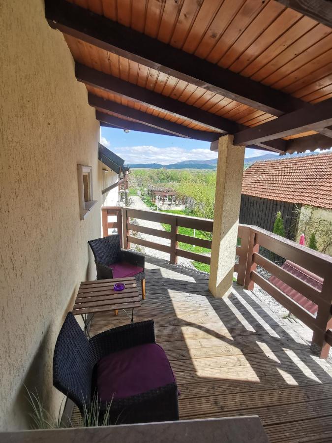 Pensiunea Casa Moga Bucium  エクステリア 写真