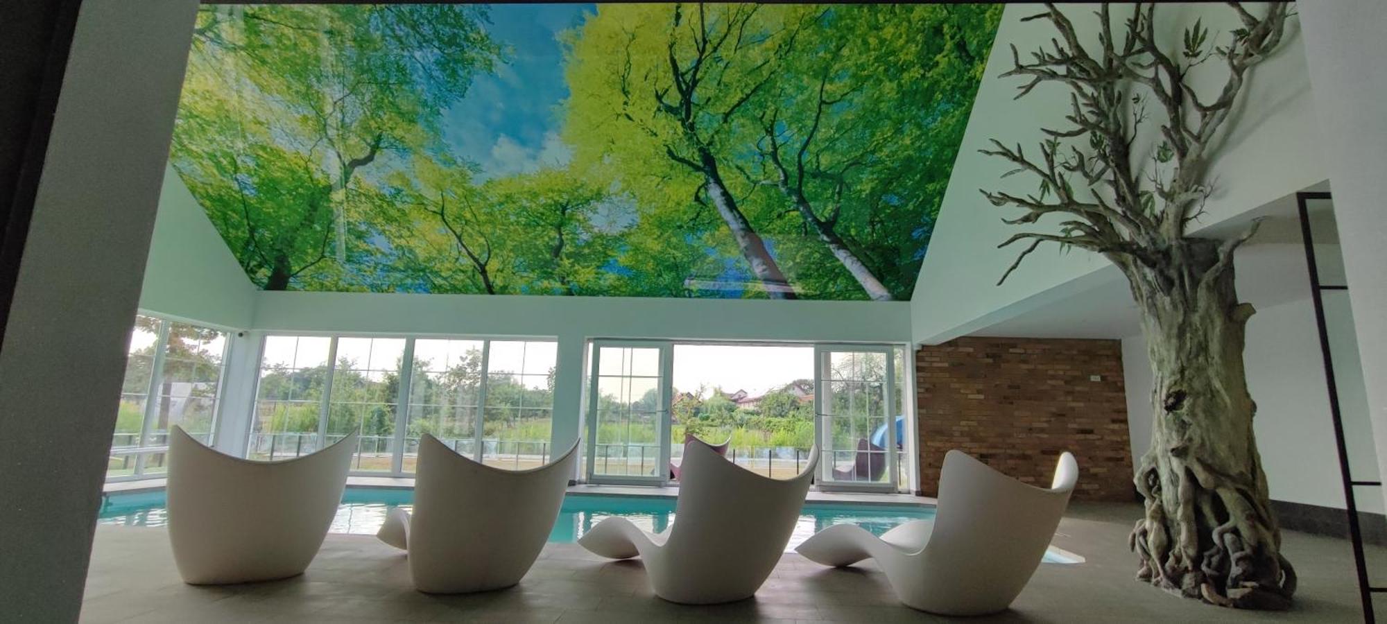 Pensiunea Casa Moga Bucium  エクステリア 写真